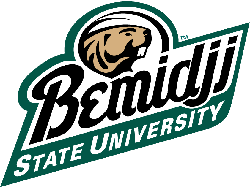 Bemidji State Beavers 2004-Pres Alternate Logo t shirts DIY iron ons